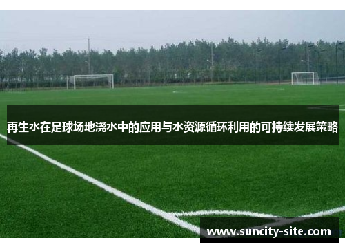 再生水在足球场地浇水中的应用与水资源循环利用的可持续发展策略